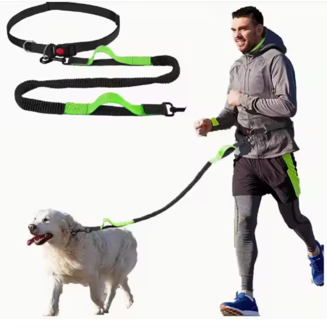 Correa perro canicross