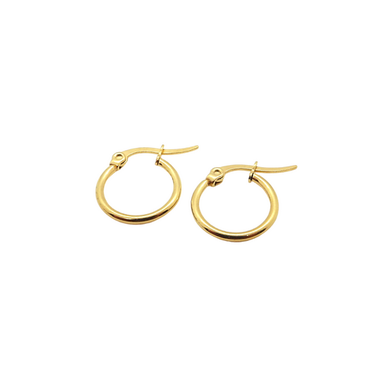 Pendientes Aros Lina 15