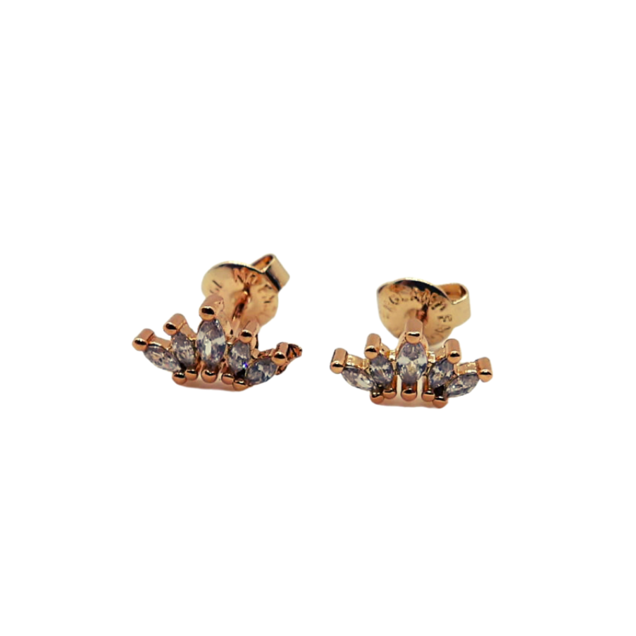 Pendientes Finir