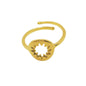Anillo Soleri